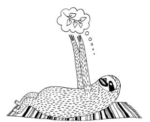 Иллюстрация к книге — Живи как ленивец. Уроки целительного пофигизма от самых счастливых созданий на Земле  [i_029.jpg]