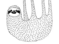 Иллюстрация к книге — Живи как ленивец. Уроки целительного пофигизма от самых счастливых созданий на Земле  [i_034.jpg]