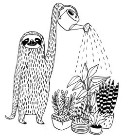 Иллюстрация к книге — Живи как ленивец. Уроки целительного пофигизма от самых счастливых созданий на Земле  [i_036.jpg]