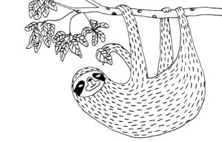 Иллюстрация к книге — Живи как ленивец. Уроки целительного пофигизма от самых счастливых созданий на Земле  [i_040.jpg]