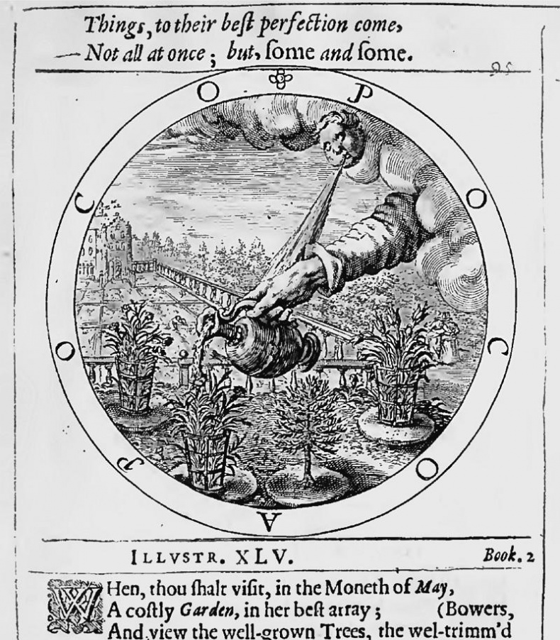 Иллюстрация к книге — Голоса деймонов  [i_013.jpg]