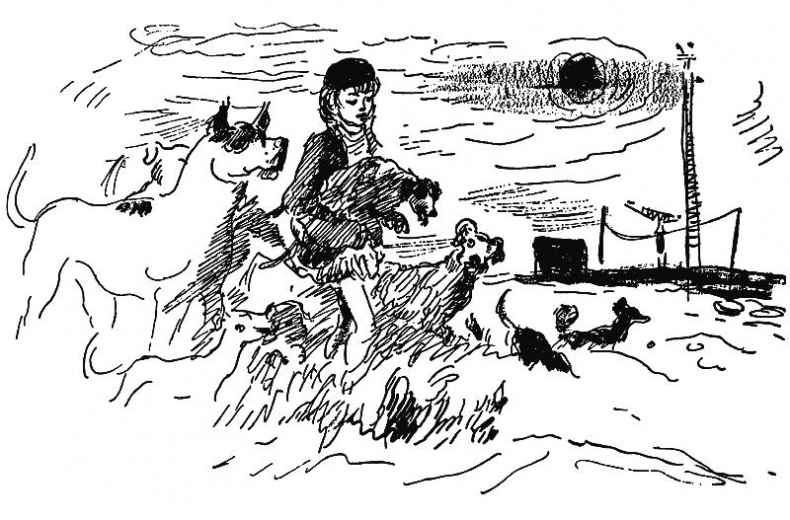 Иллюстрация к книге — Голоса деймонов  [i_026.jpg]