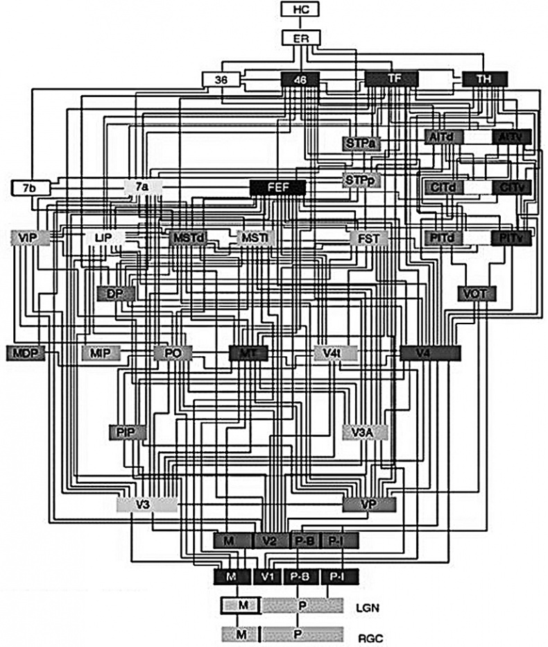 Иллюстрация к книге — Мышление. Системное исследование [i_001.jpg]