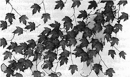 Иллюстрация к книге — Мышление. Системное исследование [i_013.jpg]