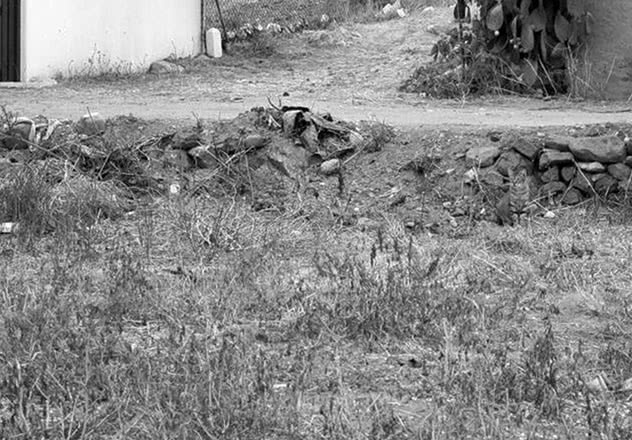 Иллюстрация к книге — Мышление. Системное исследование [i_015.jpg]