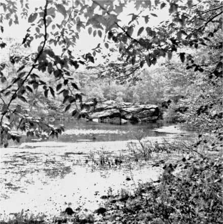 Иллюстрация к книге — Лавкрафт. Живой Ктулху [i_010.jpg]