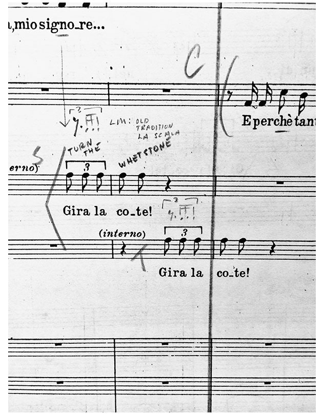 Иллюстрация к книге — Маэстро и их музыка. Как работают великие дирижеры [i_008.jpg]