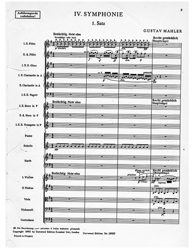 Иллюстрация к книге — Маэстро и их музыка. Как работают великие дирижеры [i_030.jpg]