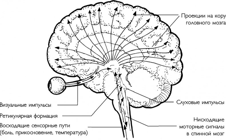 Иллюстрация к книге — Ответ. Проверенная методика достижения недостижимого  [i_002.jpg]
