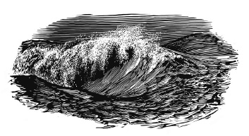 Иллюстрация к книге — Лед [i_013.jpg]