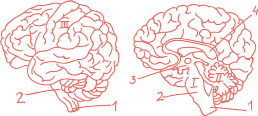 Иллюстрация к книге — Я манипулирую тобой. Методы противодействия скрытому влиянию [i_048.jpg]