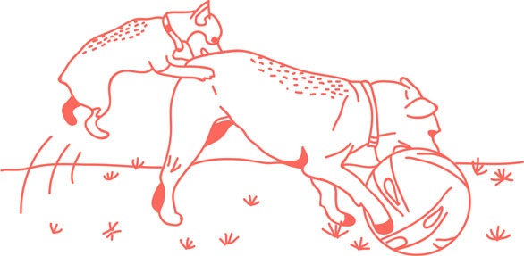 Иллюстрация к книге — Я манипулирую тобой. Методы противодействия скрытому влиянию [i_155.jpg]