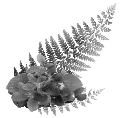 Иллюстрация к книге — Свет мой ясный  [i_002.jpg]