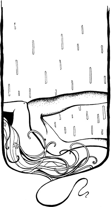 Иллюстрация к книге — Двое в постели. Как хочет мужчина и что нужно женщине? [i_009.jpg]