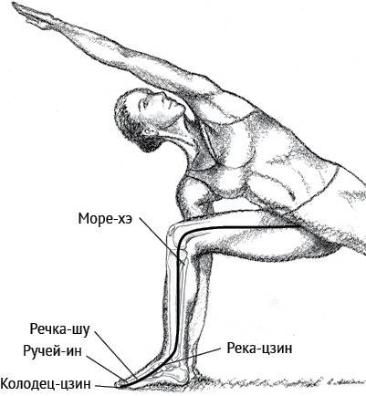 Иллюстрация к книге — Йога тонкого тела. Руководство по физической и энергетической анатомии йоги [i_009.jpg]