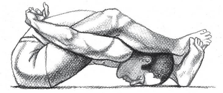 Иллюстрация к книге — Йога тонкого тела. Руководство по физической и энергетической анатомии йоги [i_016.jpg]