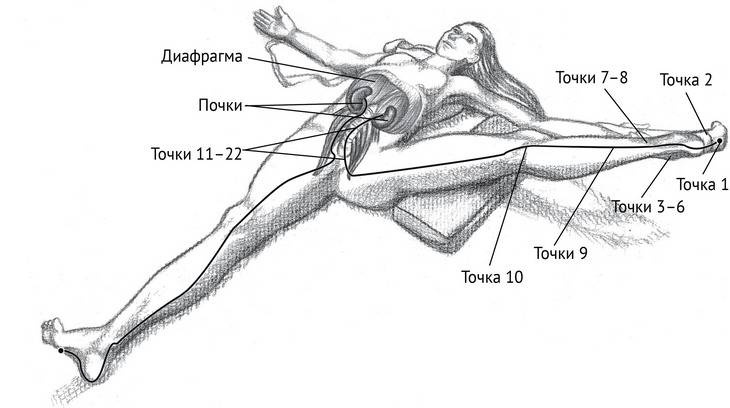 Иллюстрация к книге — Йога тонкого тела. Руководство по физической и энергетической анатомии йоги [i_025.jpg]