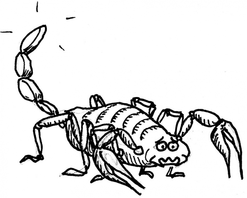 Иллюстрация к книге — Wow, anus! Неожиданные откровения о том самом месте [i_006.jpg]