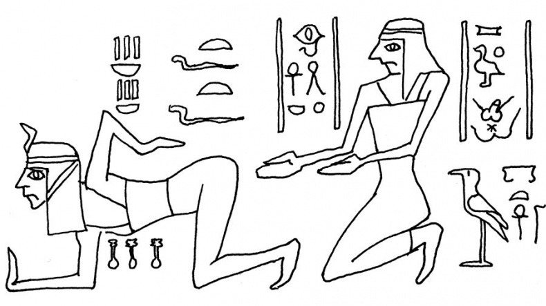 Иллюстрация к книге — Wow, anus! Неожиданные откровения о том самом месте [i_011.jpg]