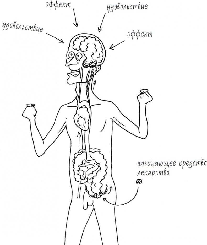 Иллюстрация к книге — Wow, anus! Неожиданные откровения о том самом месте [i_015.jpg]