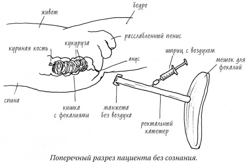 Иллюстрация к книге — Wow, anus! Неожиданные откровения о том самом месте [i_019.jpg]