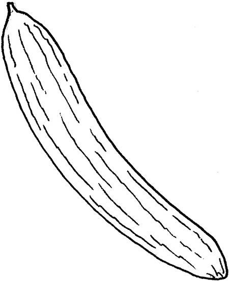 Иллюстрация к книге — Wow, anus! Неожиданные откровения о том самом месте [i_033.jpg]