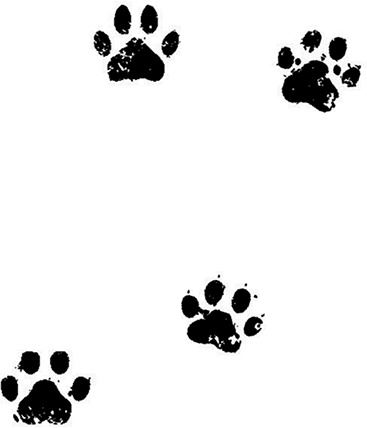 Иллюстрация к книге — Великий побег [i_030.jpg]