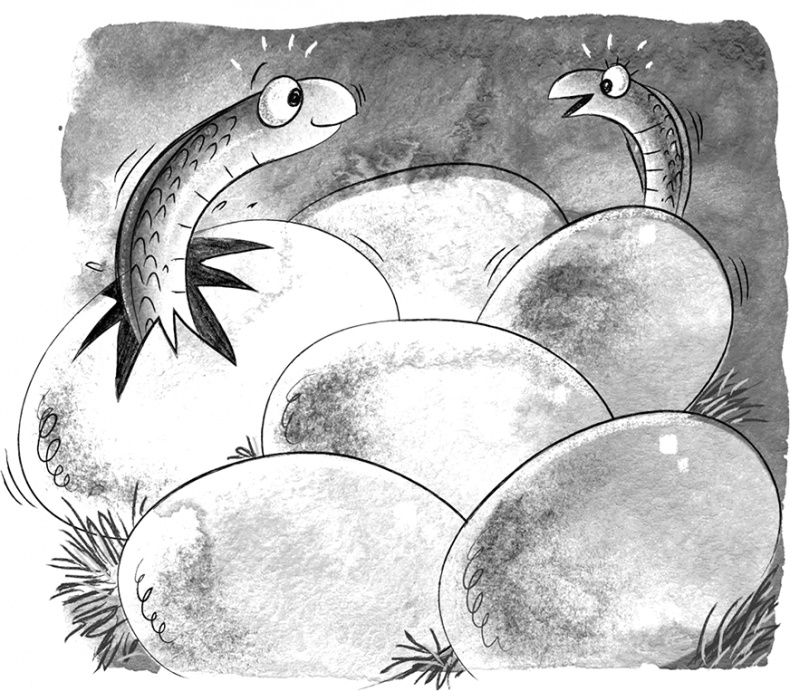 Иллюстрация к книге — Великий побег [i_062.jpg]