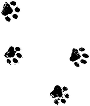 Иллюстрация к книге — Великий побег [i_063.jpg]