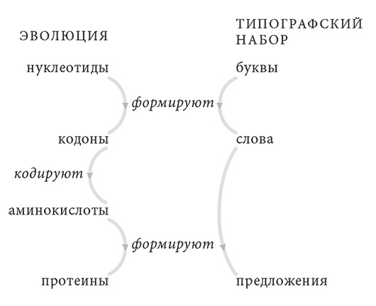 Иллюстрация к книге — Объяснение социального поведения. Еще раз об основах социальных наук  [i_024.jpg]