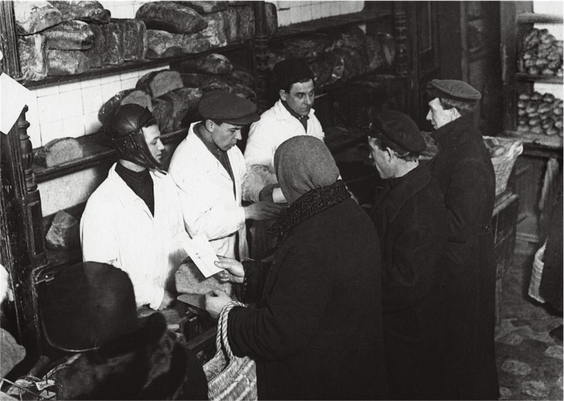 Иллюстрация к книге — Алхимия советской индустриализации. Время Торгсина [b00000887.jpg]