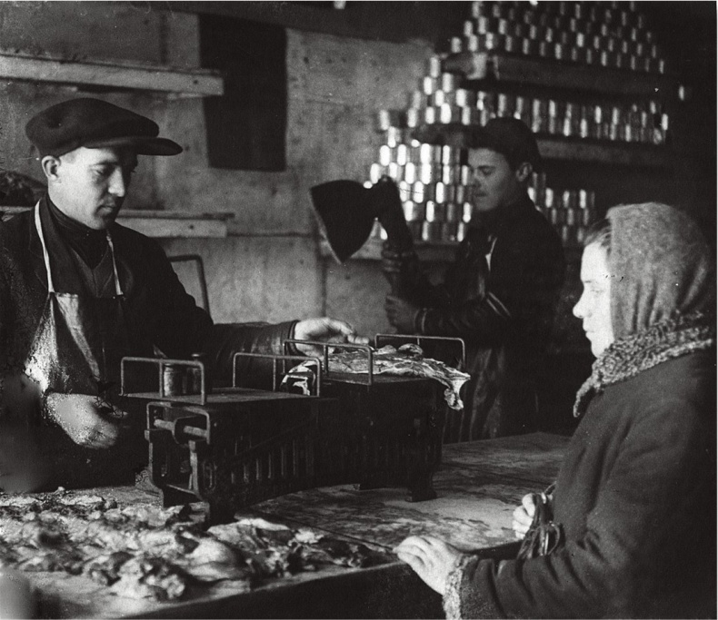 Иллюстрация к книге — Алхимия советской индустриализации. Время Торгсина [b00000891.jpg]