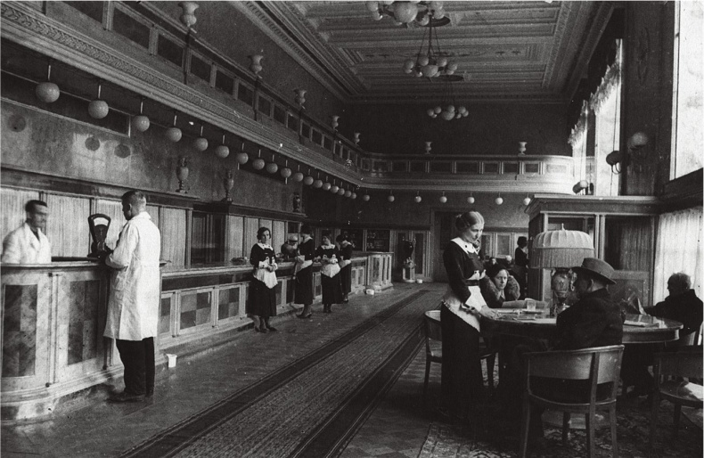 Иллюстрация к книге — Алхимия советской индустриализации. Время Торгсина [b00000934.jpg]