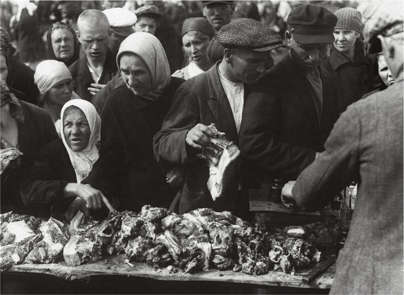 Иллюстрация к книге — Алхимия советской индустриализации. Время Торгсина [b00000950.jpg]