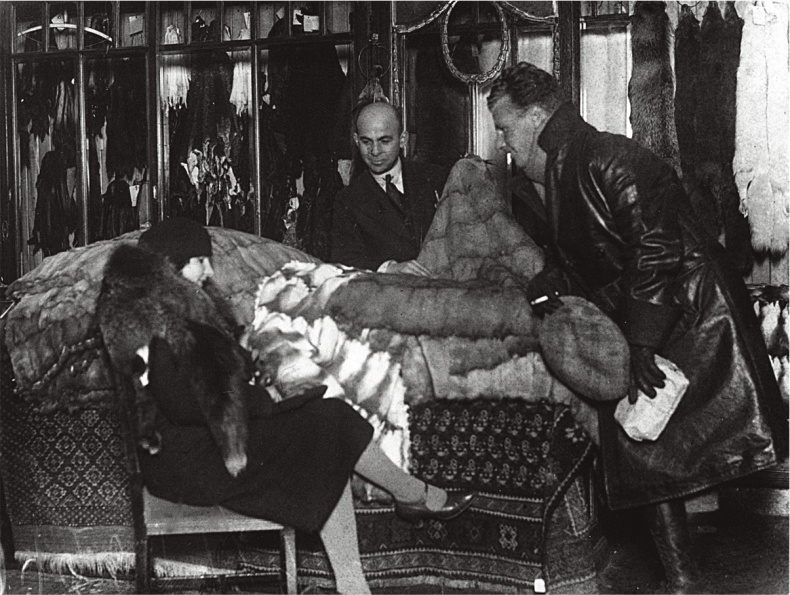 Иллюстрация к книге — Алхимия советской индустриализации. Время Торгсина [b00000987.jpg]