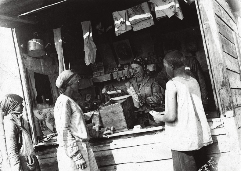 Иллюстрация к книге — Алхимия советской индустриализации. Время Торгсина [b00001011.jpg]