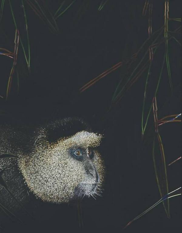 Иллюстрация к книге — Что такое Африка [i_006.jpg]