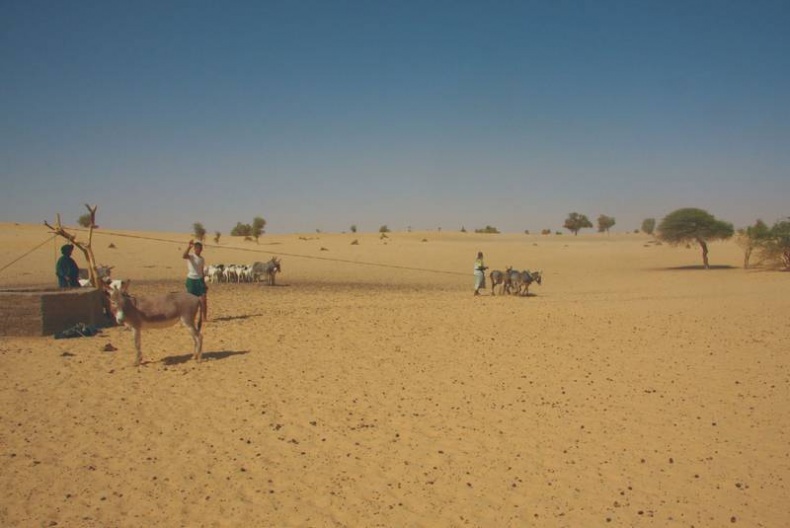 Иллюстрация к книге — Что такое Африка [i_012.jpg]