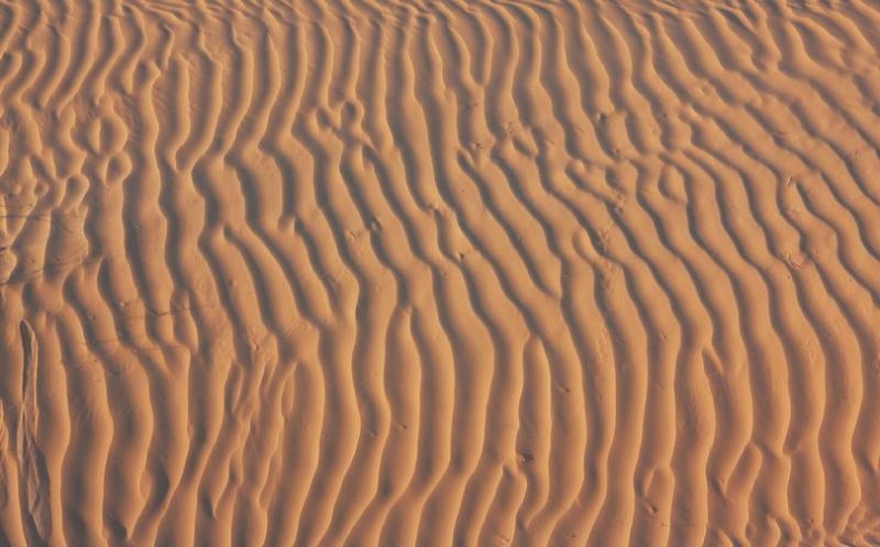 Иллюстрация к книге — Что такое Африка [i_014.jpg]