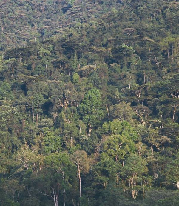 Иллюстрация к книге — Что такое Африка [i_017.jpg]