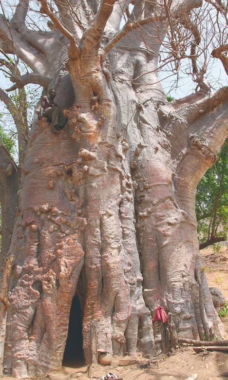 Иллюстрация к книге — Что такое Африка [i_019.jpg]