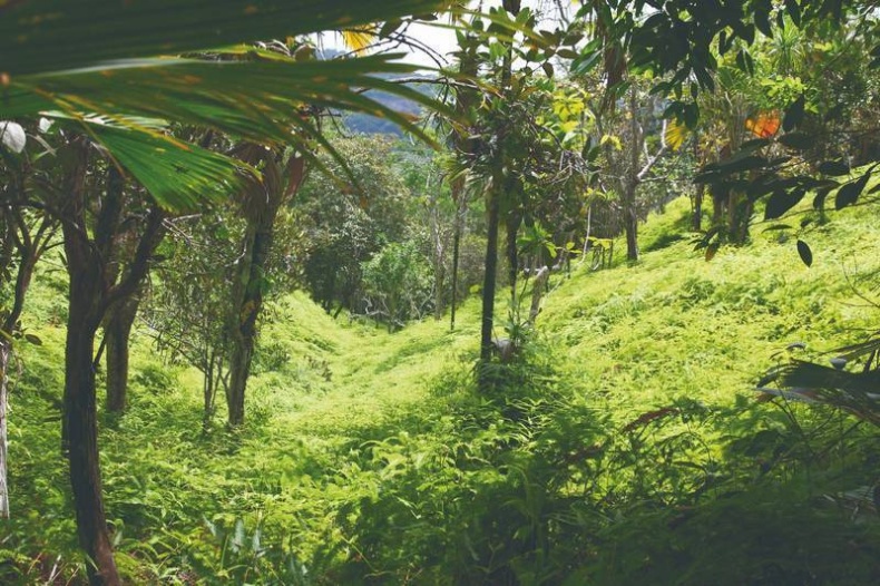 Иллюстрация к книге — Что такое Африка [i_024.jpg]