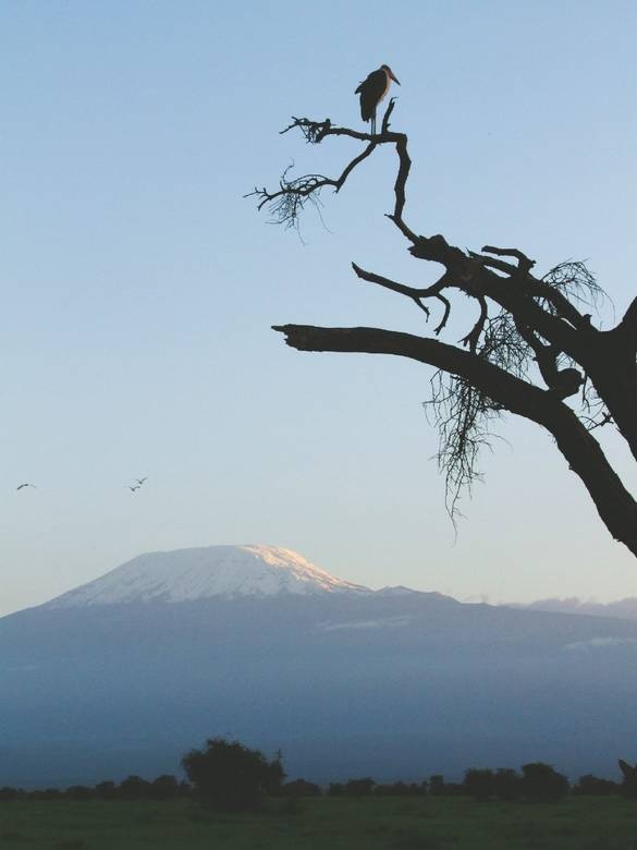 Иллюстрация к книге — Что такое Африка [i_025.jpg]