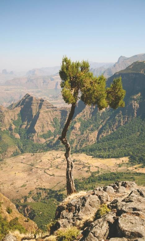 Иллюстрация к книге — Что такое Африка [i_026.jpg]