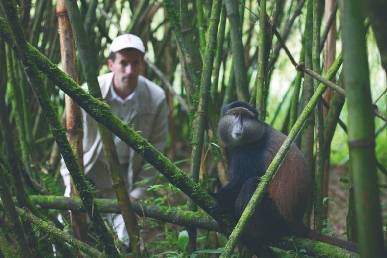 Иллюстрация к книге — Что такое Африка [i_048.jpg]