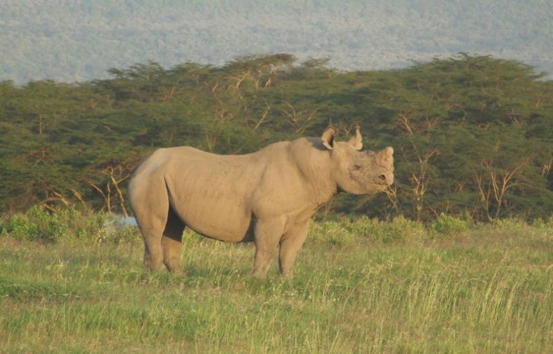 Иллюстрация к книге — Что такое Африка [i_049.jpg]