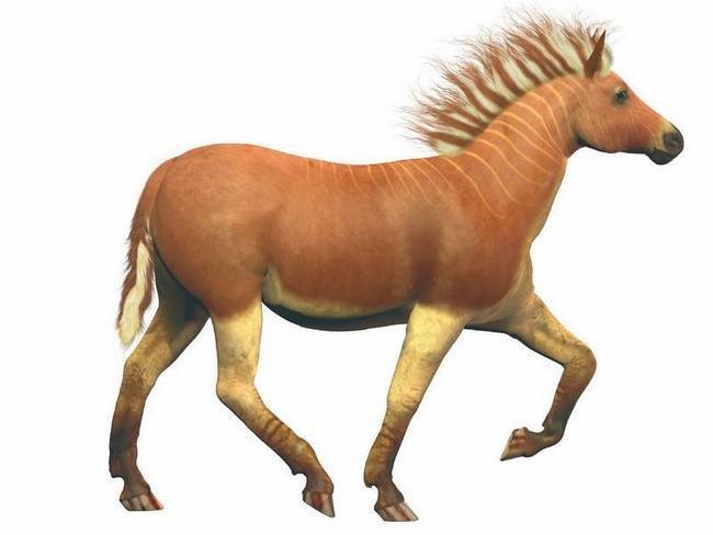 Иллюстрация к книге — Что такое Африка [i_050.jpg]