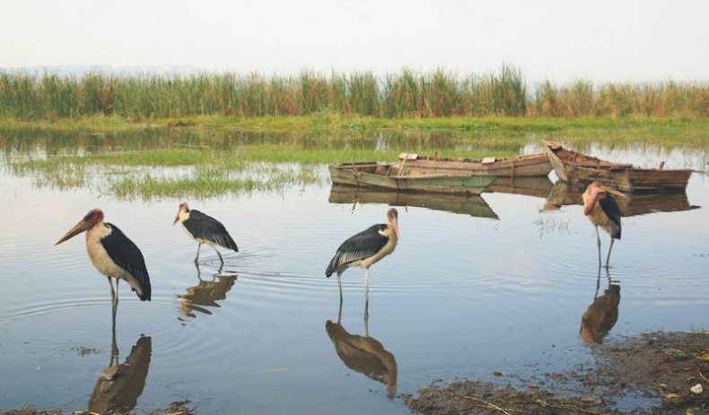 Иллюстрация к книге — Что такое Африка [i_054.jpg]