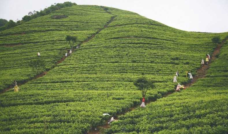 Иллюстрация к книге — Что такое Африка [i_108.jpg]