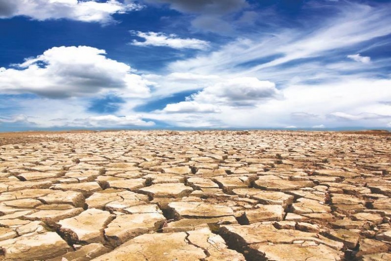 Иллюстрация к книге — Что такое Африка [i_116.jpg]